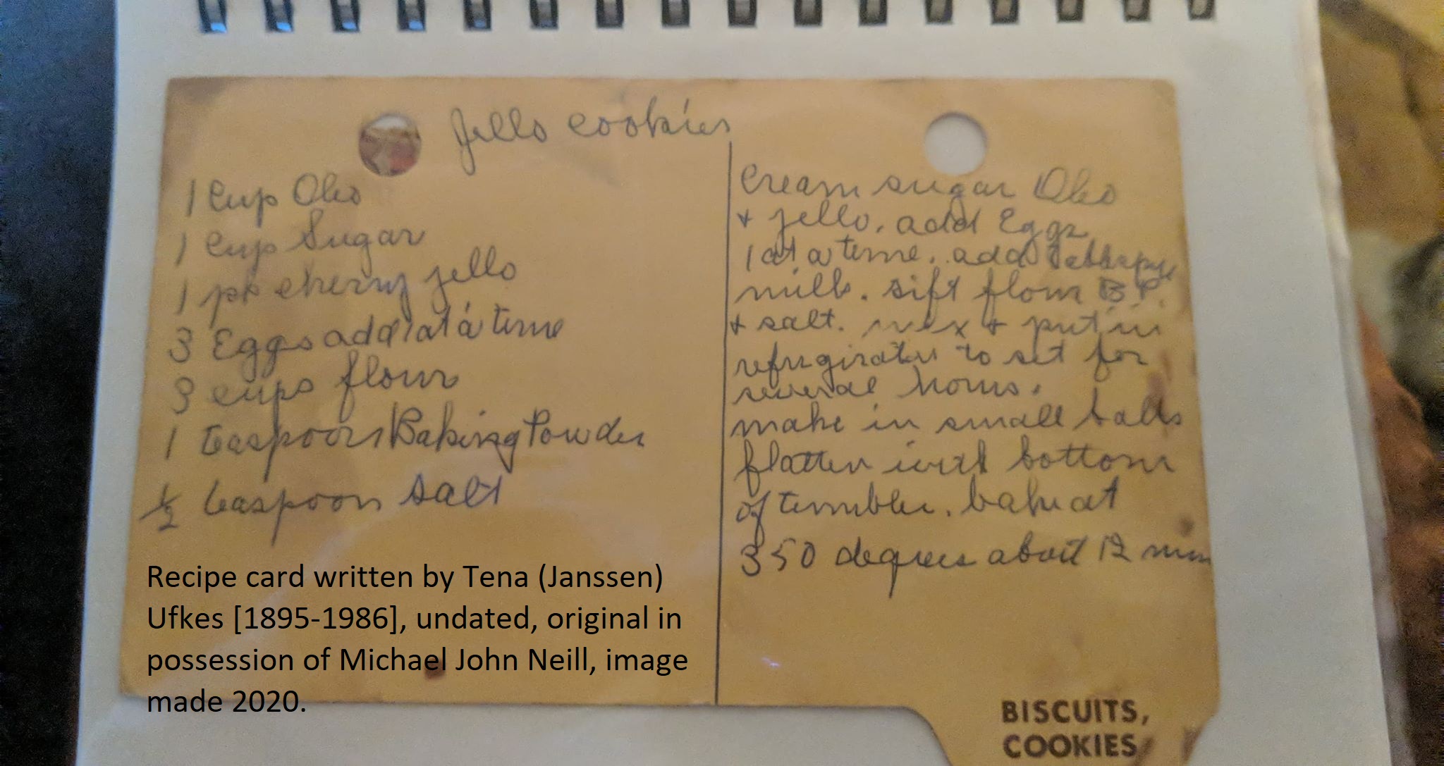Recipe Jsons Treating Recipes Like Photographs - Genealogy Tip of the Day